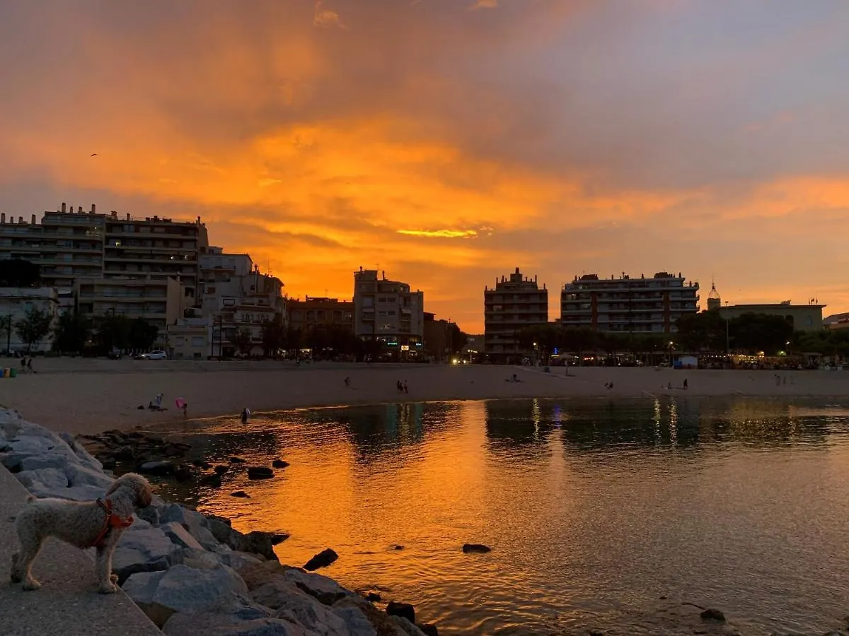 Notaria: Casco Antiguo Apartment with Garden Terrace Sant Feliu de Guixols