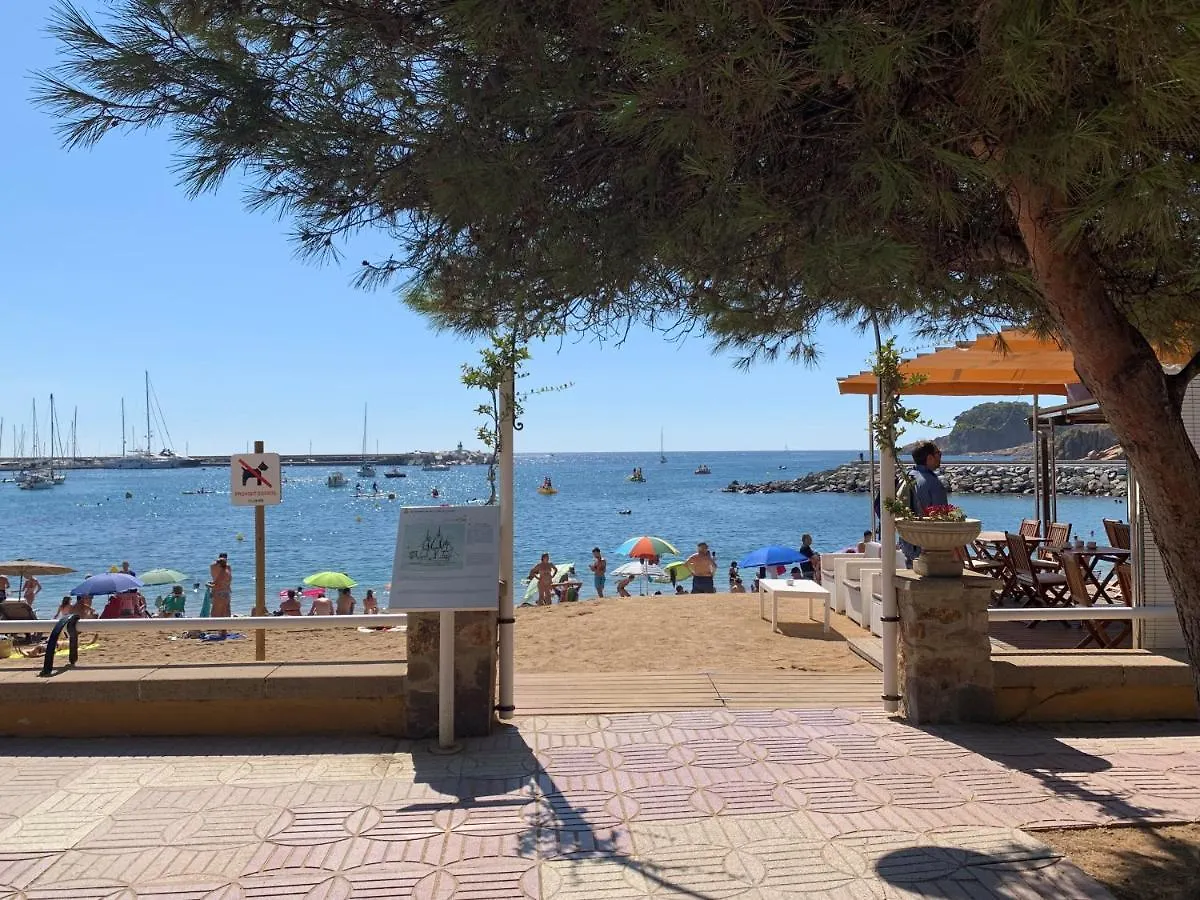 Notaria: Casco Antiguo Apartment with Garden Terrace Sant Feliu de Guixols Spain