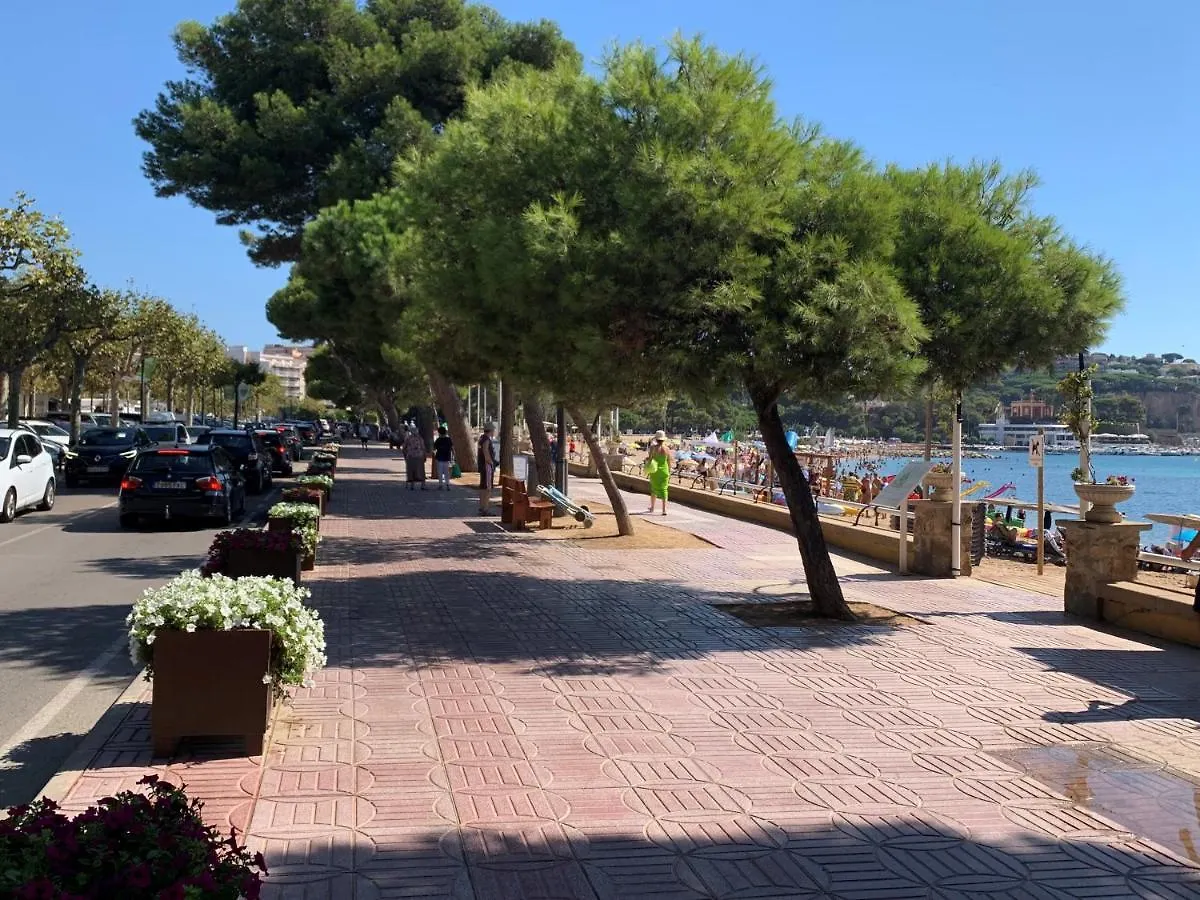 Notaria: Casco Antiguo Apartment with Garden Terrace Sant Feliu de Guixols